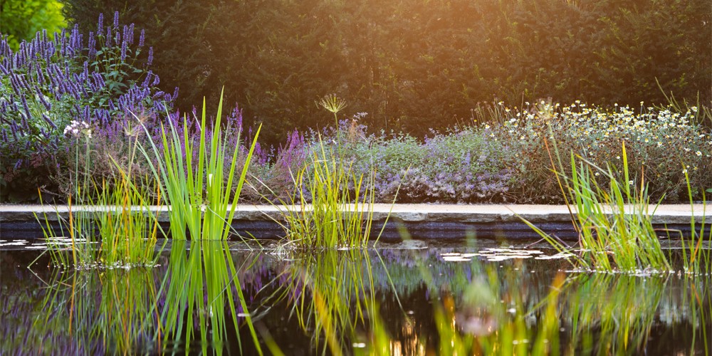 22TT_Pond