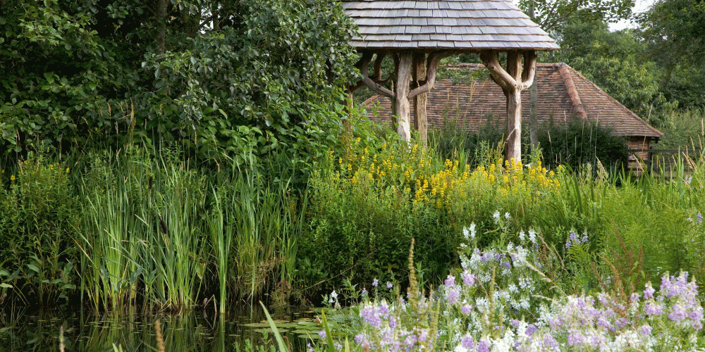 A country garden in Buckinghamshire 4