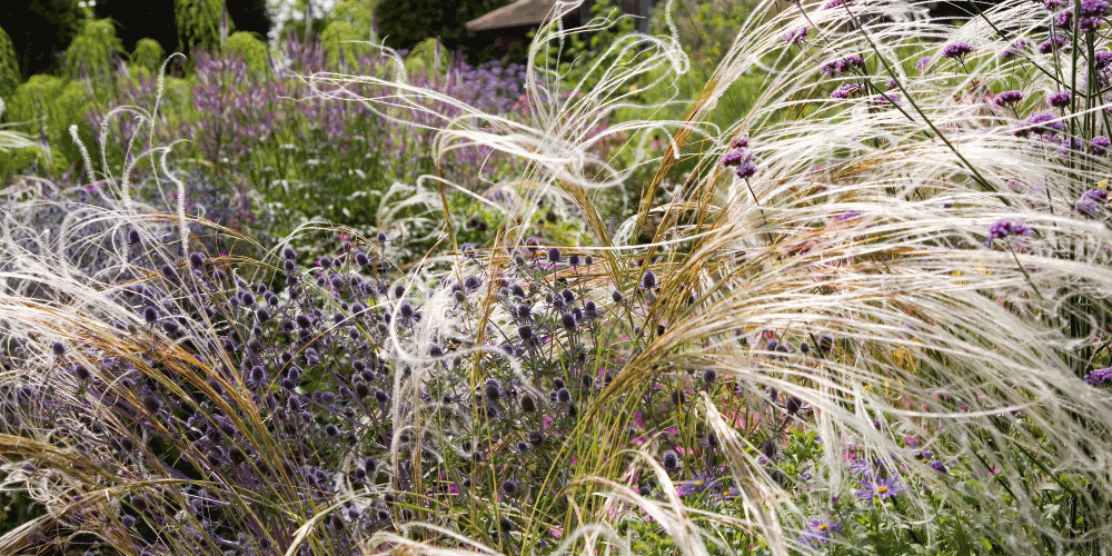 A country garden in Buckinghamshire 1