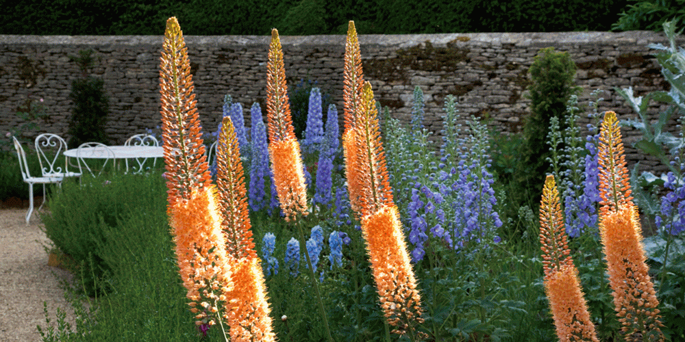  A garden Gloucestershire 3