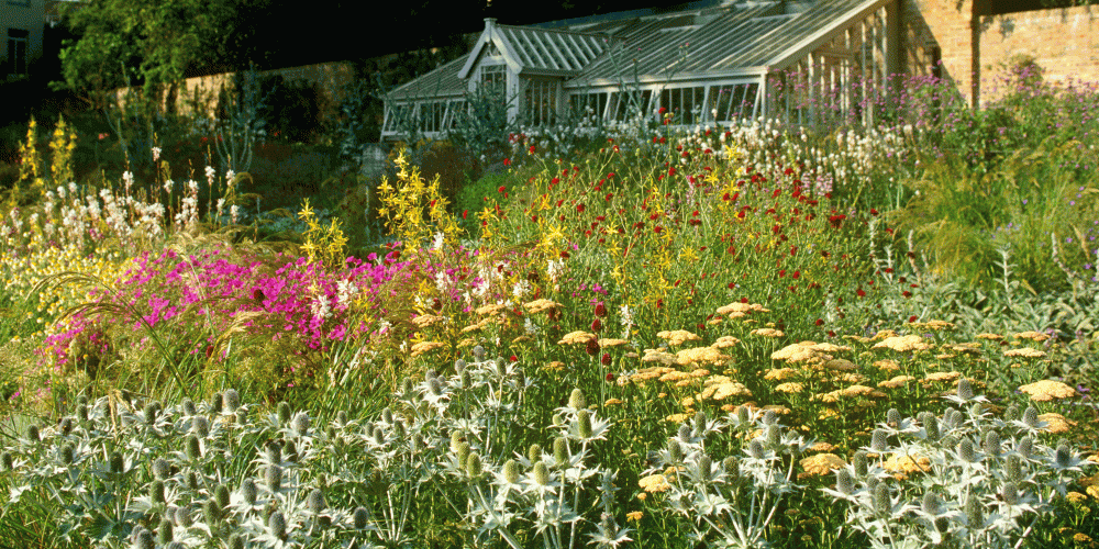 A large garden in Kensington 1