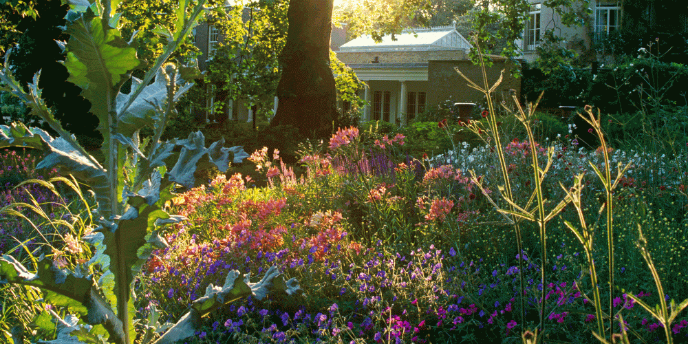 A large garden in Kensington 5