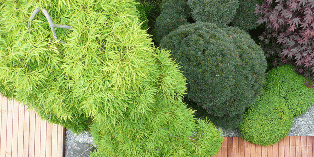 A town garden in Zurich 4