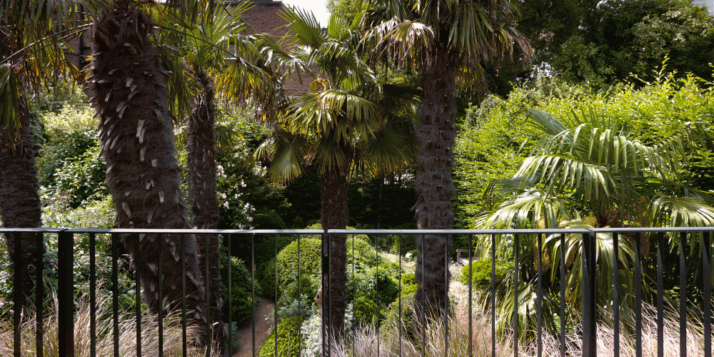 A small garden for an artist's house in kensington 4