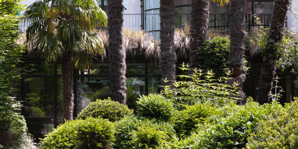 A small garden for an artist's house in kensington 5