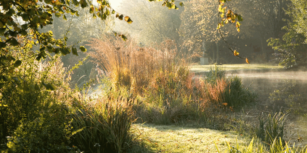 An extensive garden in Wiltshire 2