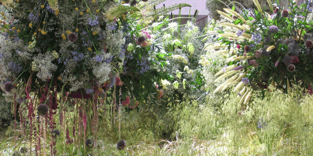 Clouds of Scent at Olympia 3