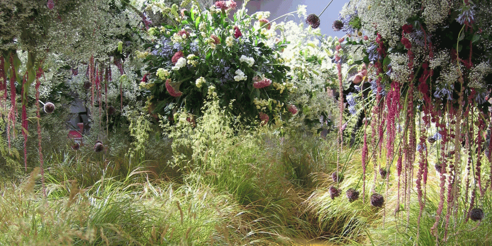 Clouds of Scent at Olympia