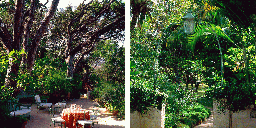 Fustic house in Barbados 1
