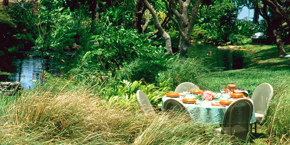 Fustic house in Barbados 4