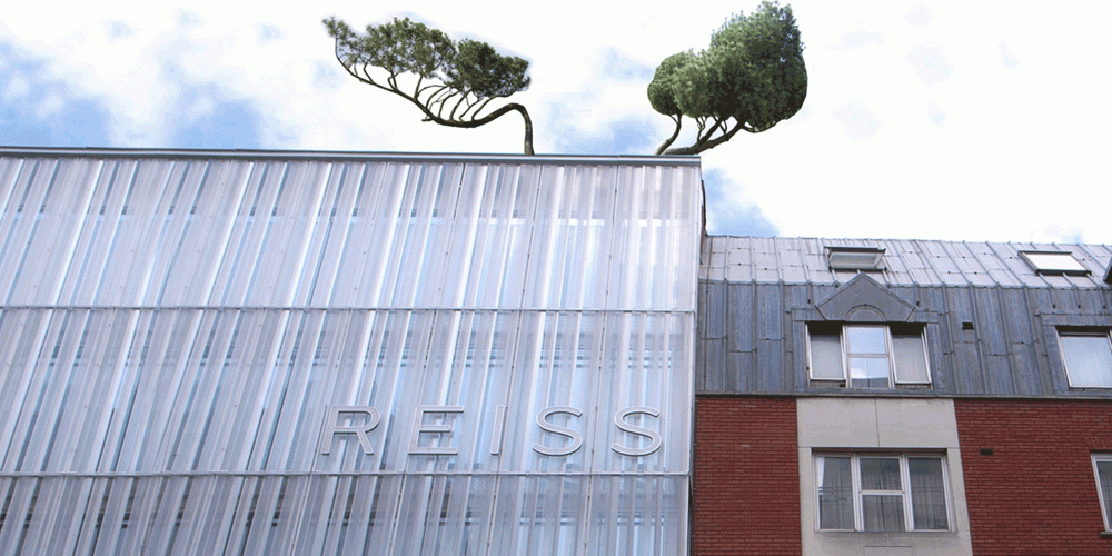 Reiss 1