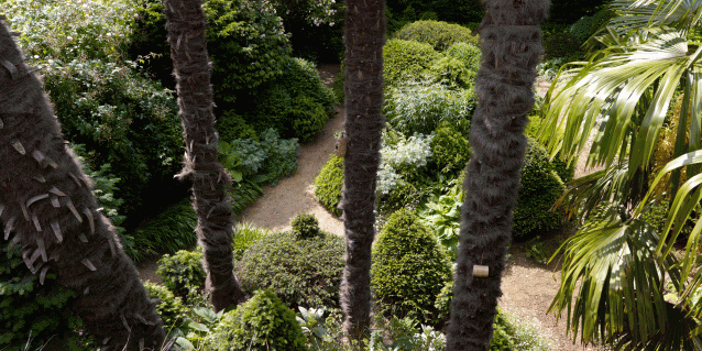 A small garden for an artist's house in Kensington