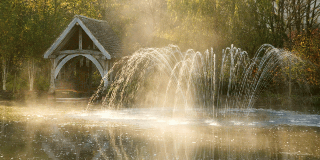 An extensive garden in Wiltshire