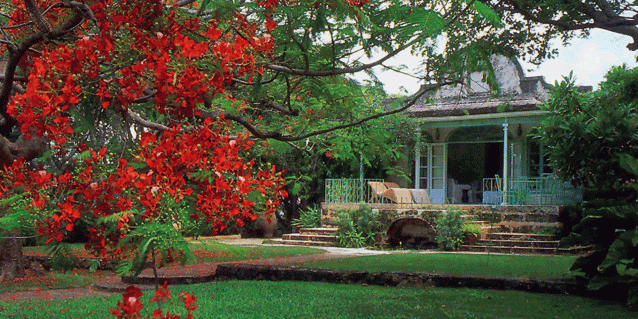 Fustic house in Barbados