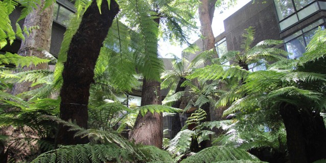 Royal College Of Art