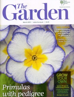 The garden March 15